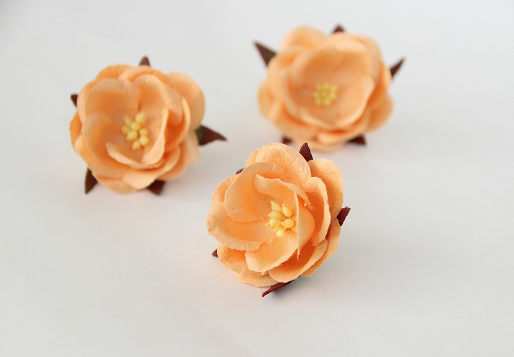 Дикие розы Персиковые, диаметр 4,5 см, 1 шт.