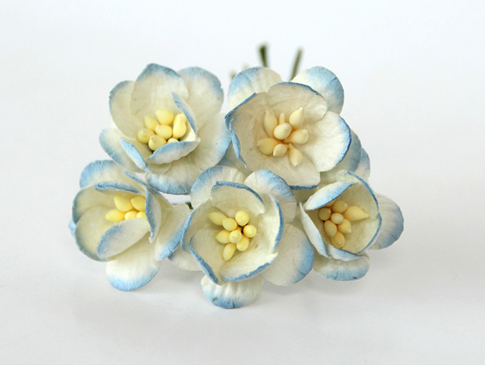 Цветок вишни Голубой 2-хтоновый, 1 шт