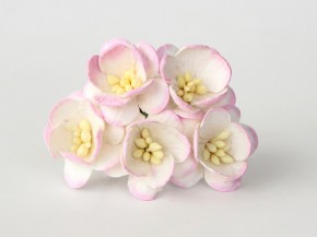 Цветок вишни Белый + светло-розовый, 1 шт